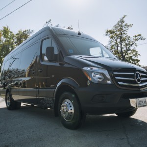 12 Passenger Mercedes Sprinter van