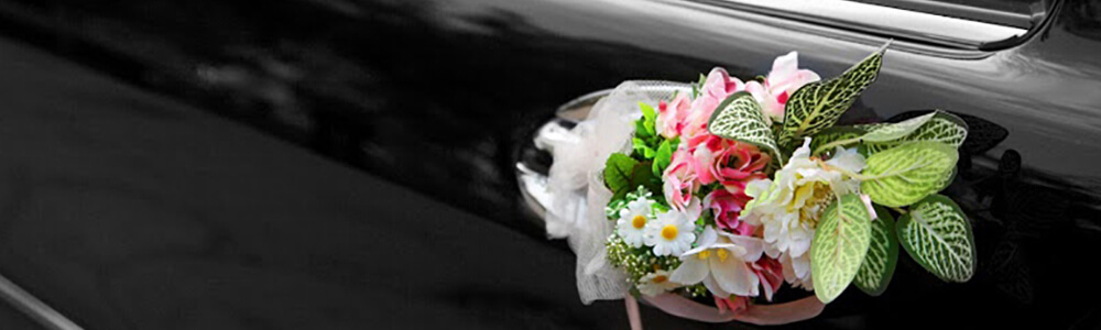 white Flowers Black Car