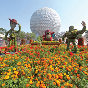 epcot