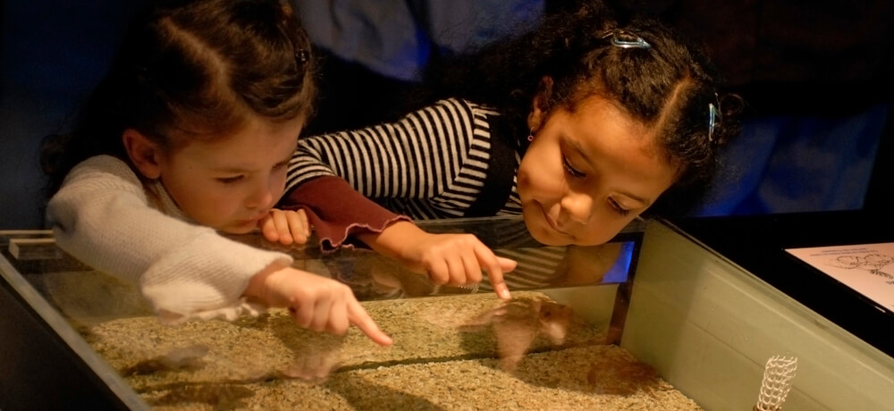 girls in museum